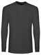 BS Evolution Langarm-T-Shirt, 160 g/m2, 100 % Baumwolle