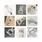 ROMINOX® Key Tool // Bunny - 16 Funktionen