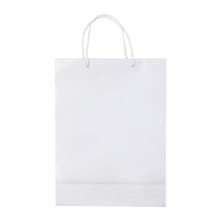 Laminierte Papiertasche, groß