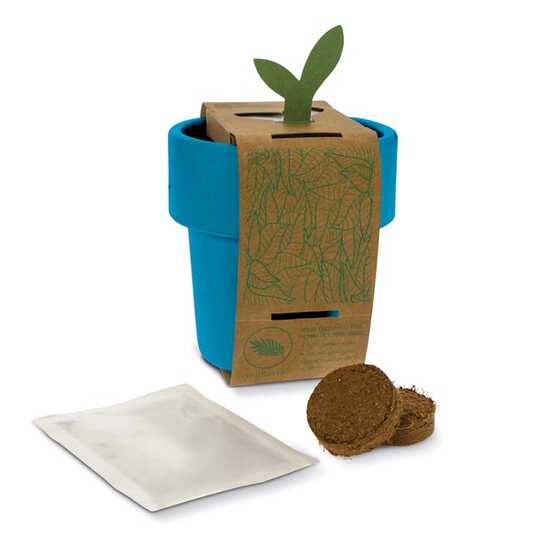 Hot-but-cool Tasse mit Erdbeersamen