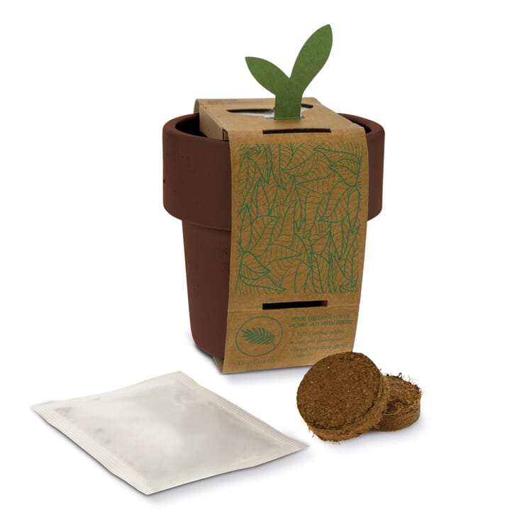 Hot-but-cool Tasse mit Kirschtomatenamen