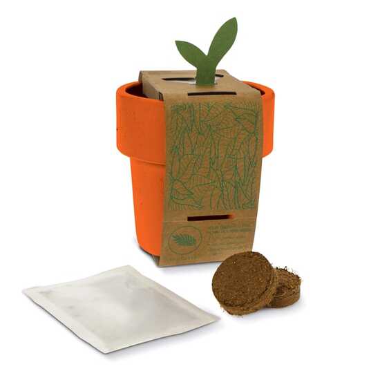 Hot-but-cool Tasse mit Basilikum