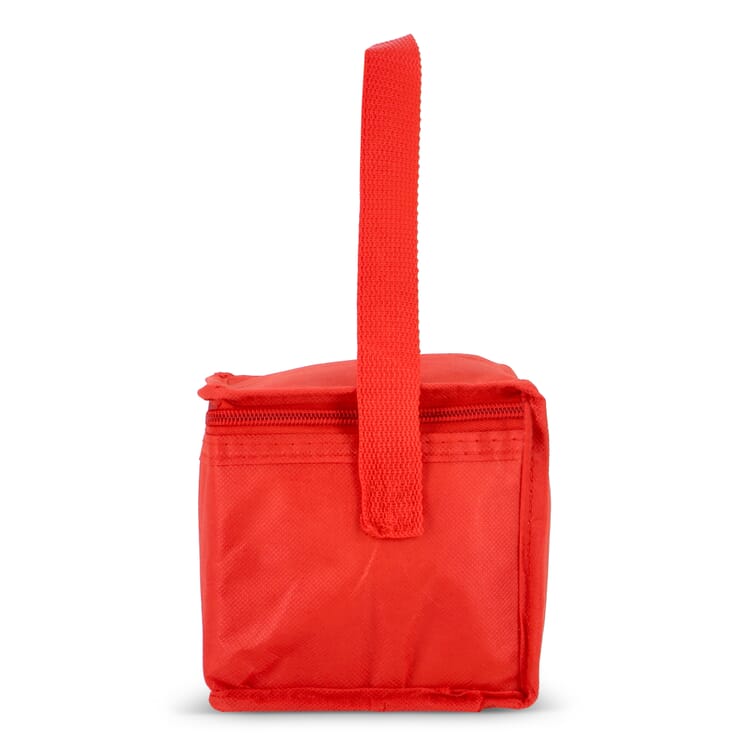 R-PET 6 Dosen-Kühltasche Non Woven 20x 13 x 12,5cm 75g/m²