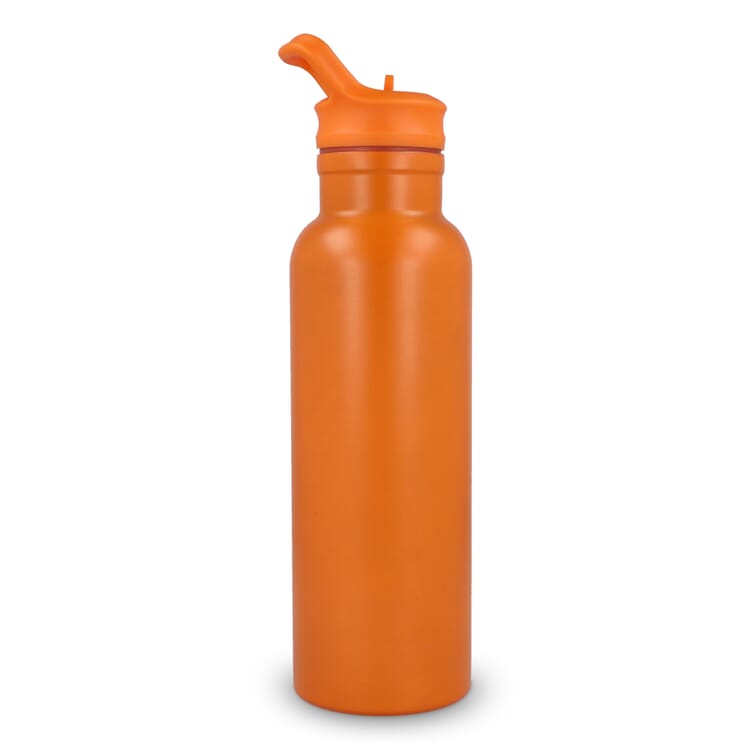 Dario Isolierflasche 500 ml
