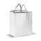 Große Kühltasche aus Non Woven 32.5 x 19.5 x 39 cm, 100 g/m²
