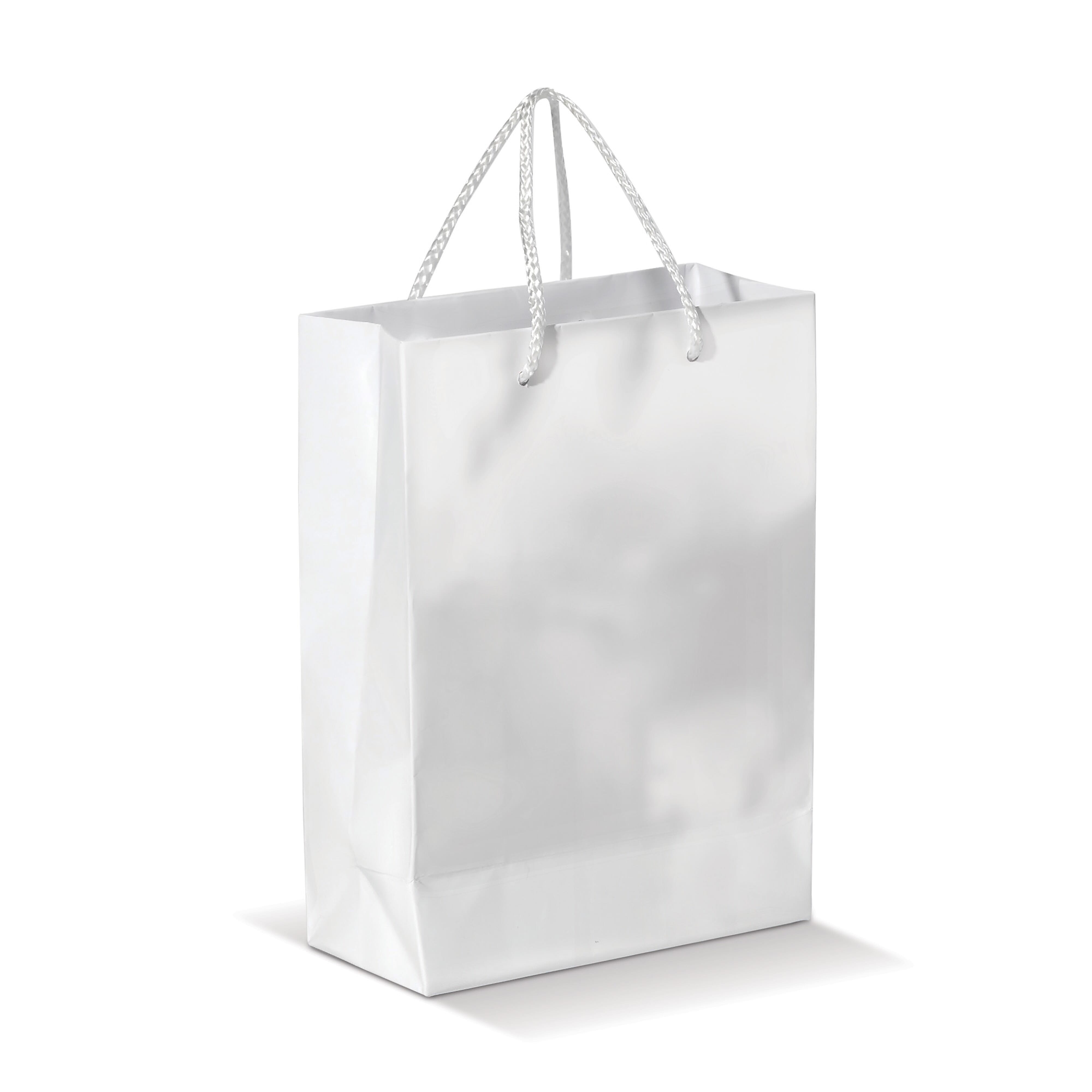 Laminierte Papiertasche, groß