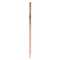 Bleistift Natur