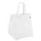 R-PET Kühltasche Non Woven 33x 25,5 x 37cm 75g/m²