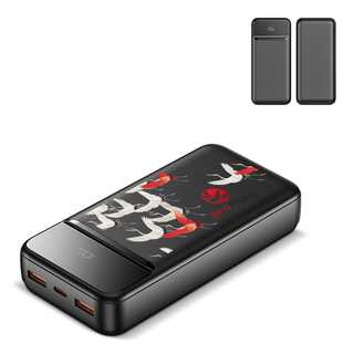 Nolu Powerbank mit LED-Anzeige 20000 mAh