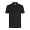 SEVEN SEAS The polo