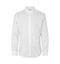 SEVEN SEAS Oxford | slim