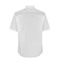 SEVEN SEAS Poplin | modern | s/s