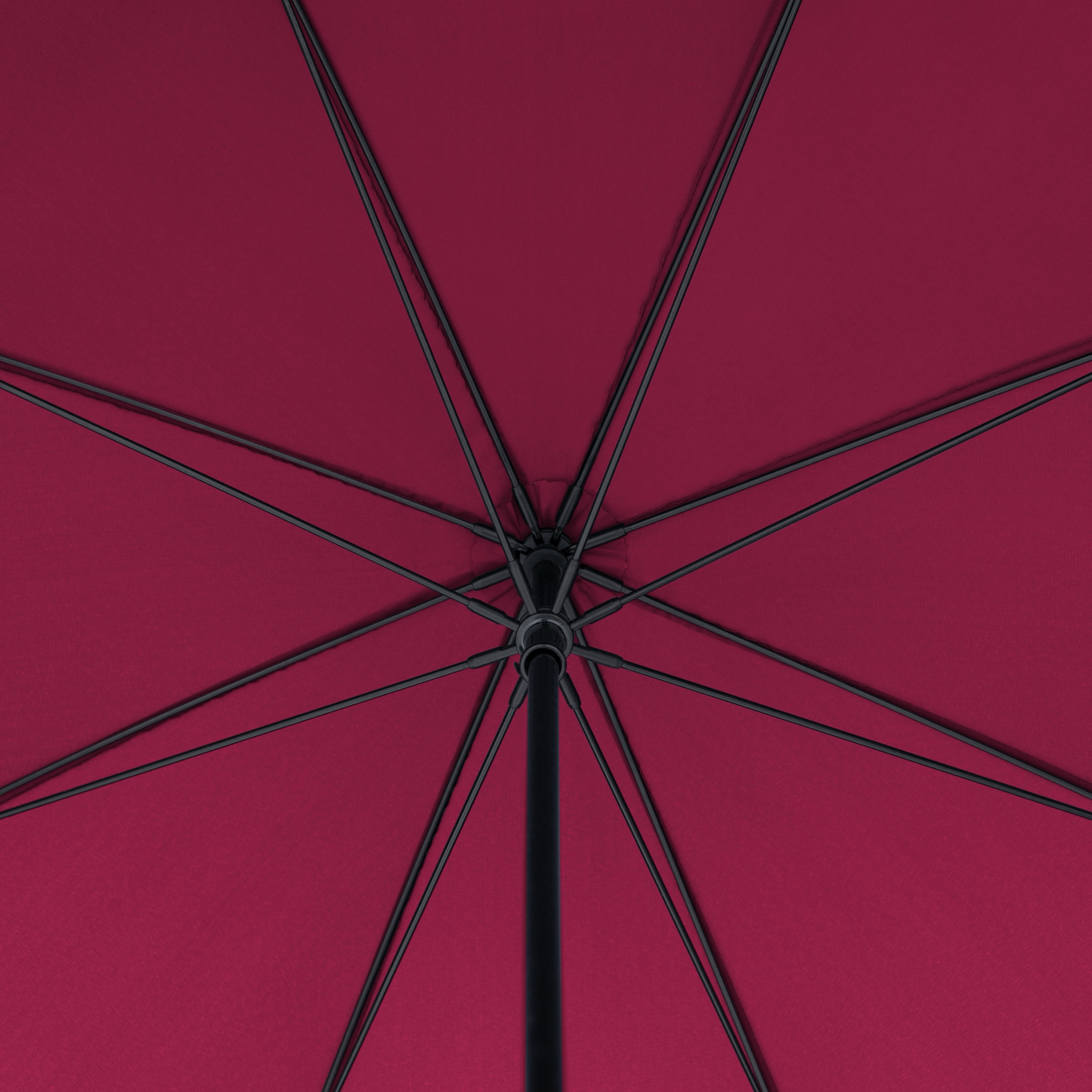 doppler Zero Explore  - royal berry