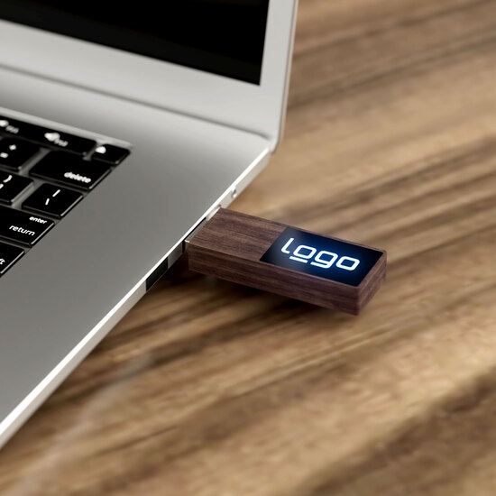 USB Stick Woodshine