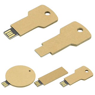 USB Stick Greencard key