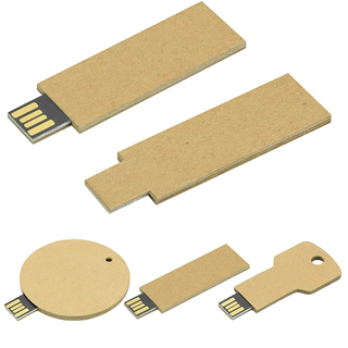USB Stick Greencard square
