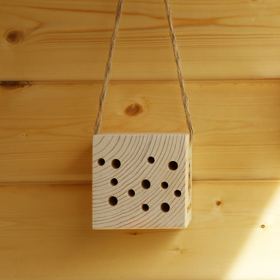 Wildbienen Würfel Cubee