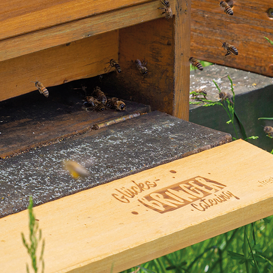 Bienen & Honig – Ihre Marke