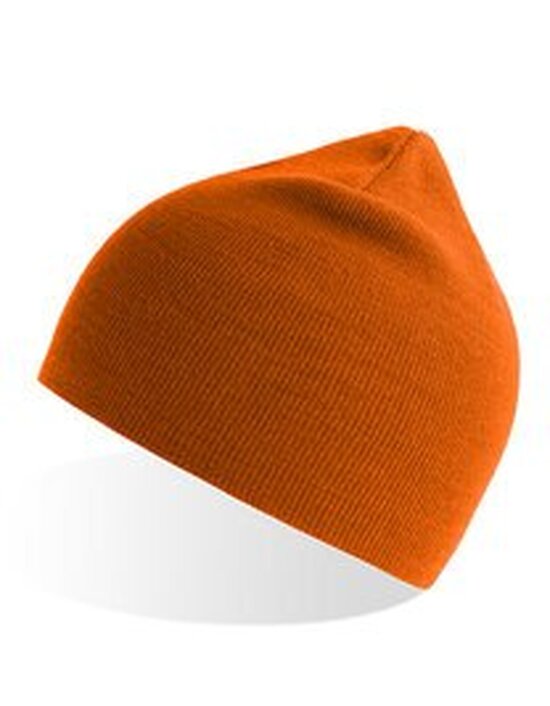 AT102 Holly Beanie