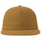 AR529 Cruz Cap