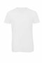 BCTM057 V-Neck Triblend T-Shirt /Men