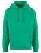 Build Your Brand Basic Basic Hoody