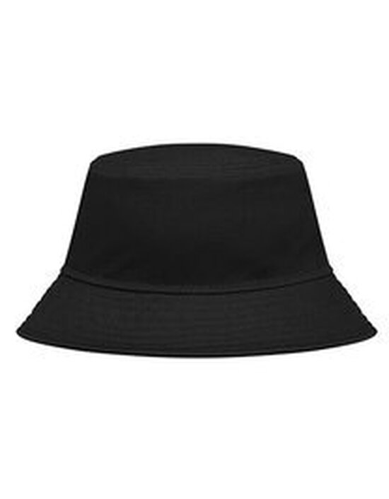 C1720 Bobhat