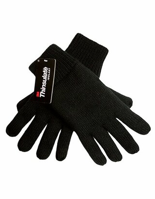 C1869 Thinsulate Gloves