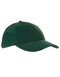 Heavy Brushed Cap