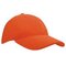 Heavy Brushed Cap