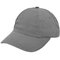 Brushed Promo Cap