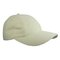 Brushed Promo Cap