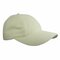 Brushed Promo Cap