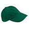 Low Profile Heavy Brushed Cotton Cap