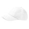 Low Profile Heavy Cotton Drill Cap