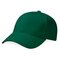 Pro-Style Heavy Brushed Cotton Cap