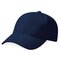 Pro-Style Heavy Brushed Cotton Cap