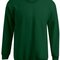 New Men`s Sweater 100