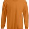 New Men`s Sweater 100