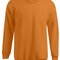 New Men`s Sweater 100