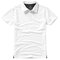 Markham Polo
