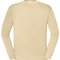 Fruit of the Loom ICONIC 250 SET-IN SWEAT
