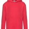 Kids Premium Hooded Sweat