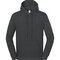 Fruit of the Loom ICONIC 250 Hooded Sweat