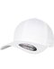 Flexfit Organic Cotton Cap