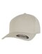 Flexfit 5 Panel Cap