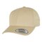 Curved Classic Snapback