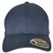 FX7706FF Flexfit 110 Curved Visor Snapback