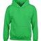 Heavy Blend™ Youth Hooded Sweatshirt