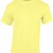 Heavy Cotton™ Adult T-Shirt